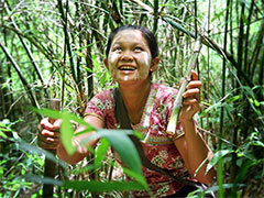 မေရႊစင္ျမင့္
